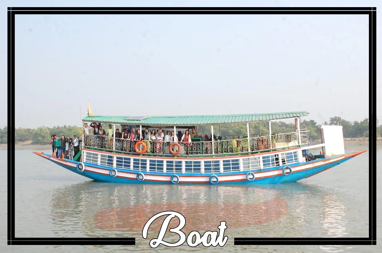 Boat safari through narrow Sundarban mangrove waterways